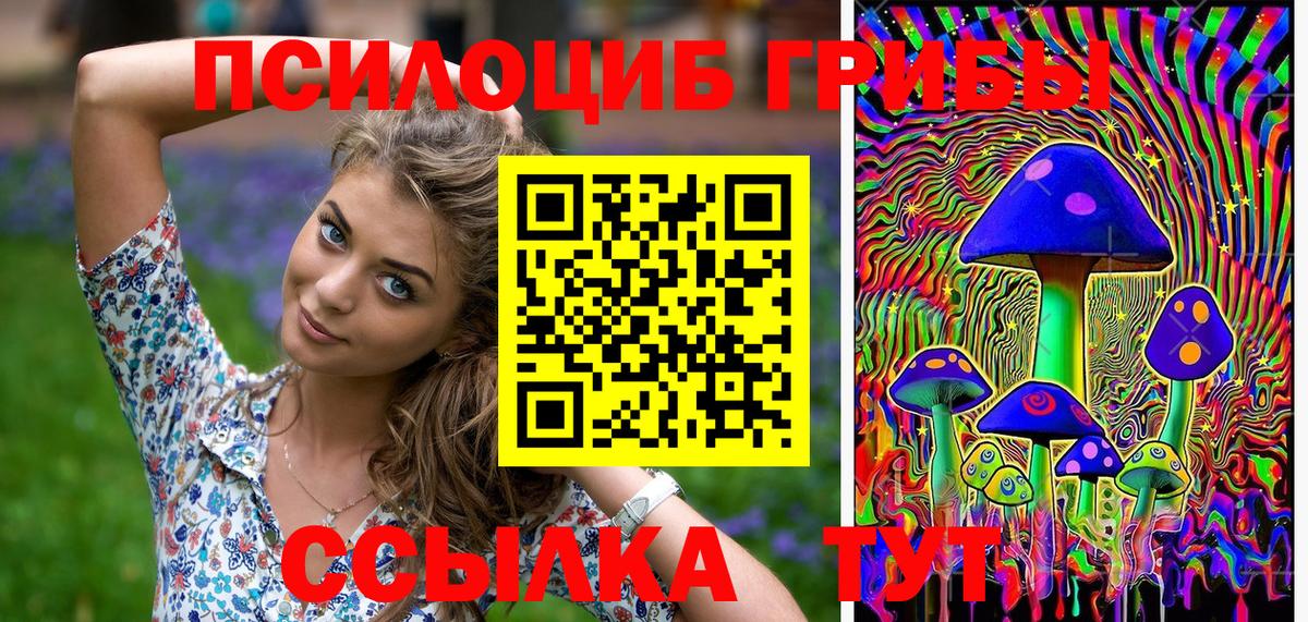 Псилоцибиновые грибы Magic Shrooms Владикавказ