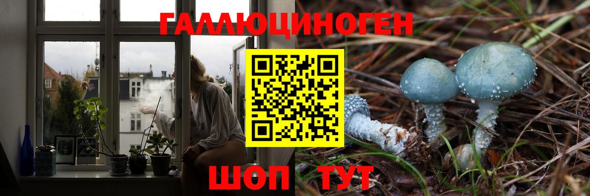 Владикавказ  Псилоцибиновые грибы GOLDEN TEACHER  Вход с VPN 
